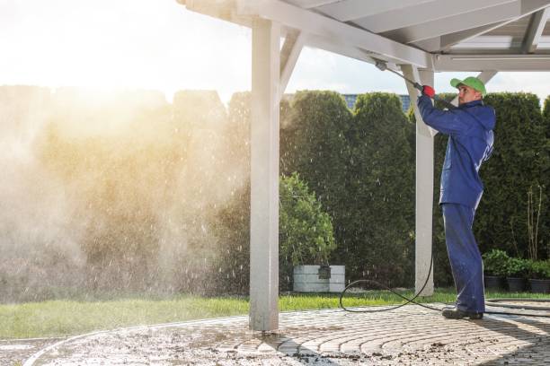 Best Driveway Pressure Washing  in Frankford, DE
