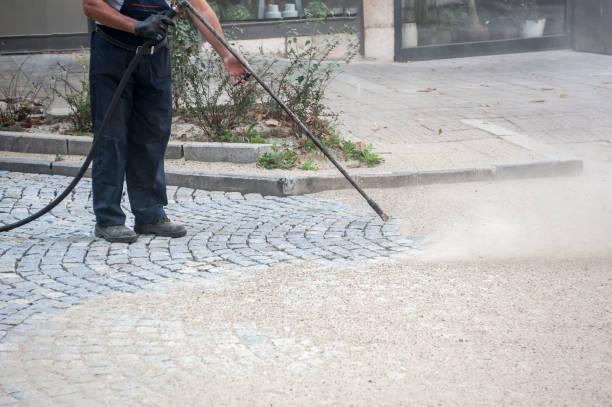 Best Warehouse Cleaning  in Frankford, DE
