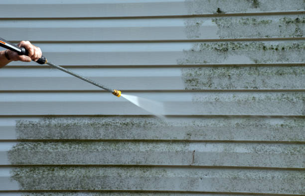 Best House Exterior Washing  in Frankford, DE