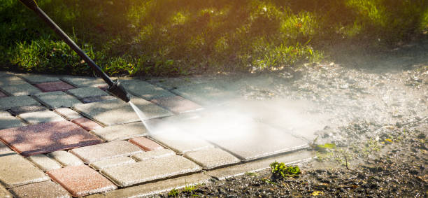 Best Pool Deck Cleaning  in Frankford, DE